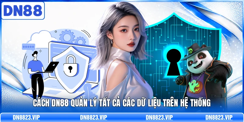 Cách DN88 quản lý tất cả các dữ liệu trên hệ thống