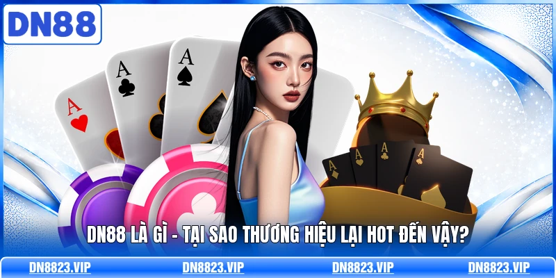 DN88 là gì - Tại sao thương hiệu lại hot đến vậy?