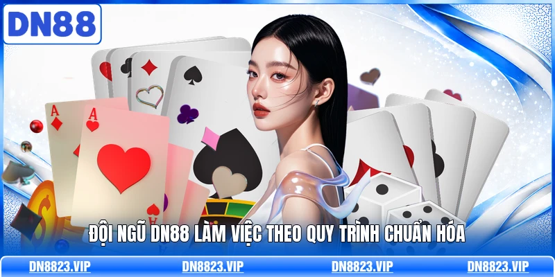 Đội ngũ DN88 làm việc theo quy trình chuẩn hóa 