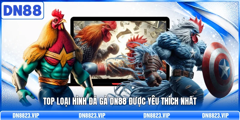 Top loại hình đá gà DN88 được yêu thích nhất